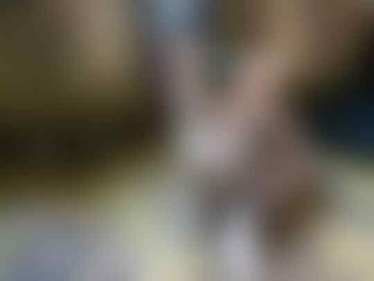 Meuza. Kucing Pelor.