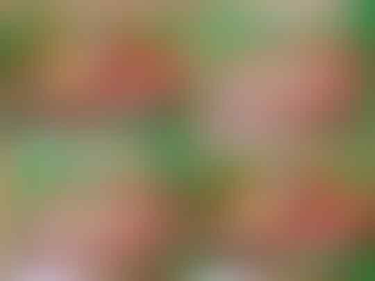 4 Produk Makanan Indonesia Yang Gagal Total, No 1 Paling Legendaris