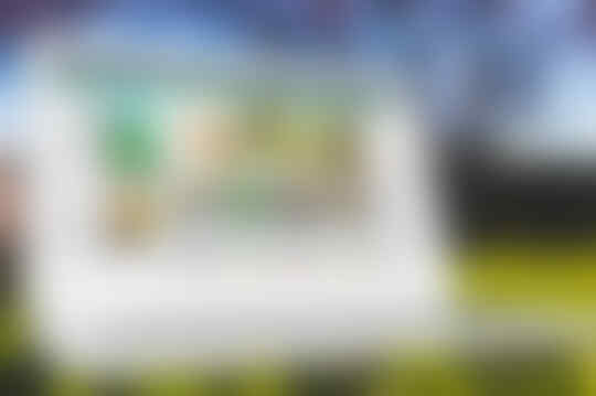 Toko Online GRATIS untuk Pemula