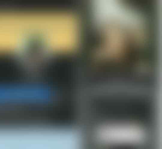 Siapa sih Reemar Martin?