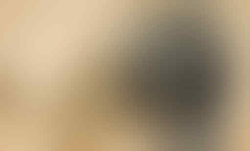 Misteri Sukotyro,Babi Yang Memiliki Gading Dari Pulau Jawa