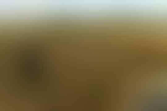 Hayo Ngaku Yang Pernah Ambil Singkong di Kebon Orang Terus Dibakaar di Sawah??!!!