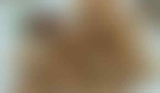 5 Yang di Cari, No. 1 Belum Banyak di Ketahui
