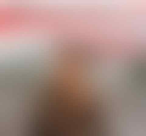 Momen Walikota Padang Sapa Anies 'Gubernur Indonesia'