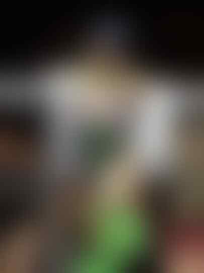 Pegulat Jepang Keturunan Indonesia Hana Kimura Meninggal di Usia 22