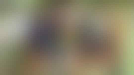 Rugby Di Kolombia : Pembunuhan Di Medellin & Taruhan Yang Mengubah Hidup