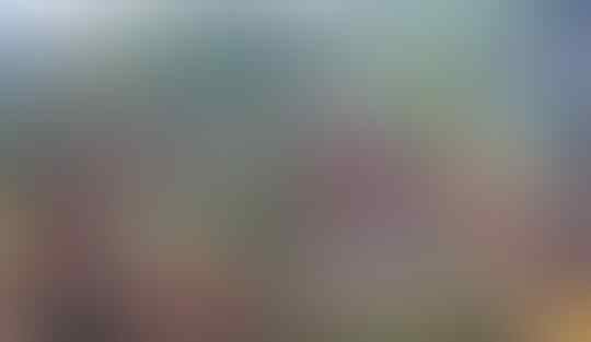 Kasus Corona di Papua Sebanyak Ini, Petugas Covid-19 di Sana Malah Ditembak Mati