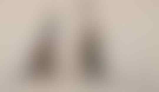 Nikah Muda, Jadi Alasan Gagalnya Rumah Tangga ?