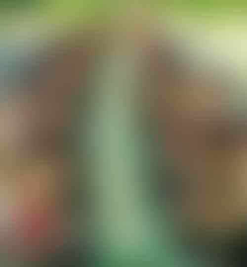 Suka dan Duka Ikut OSIS di SMA yang Orang Tidak Pernah Tahu