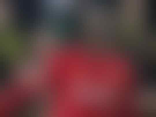 7 Transfer Terbaik Liverpool Dalam Satu Dekade Ini