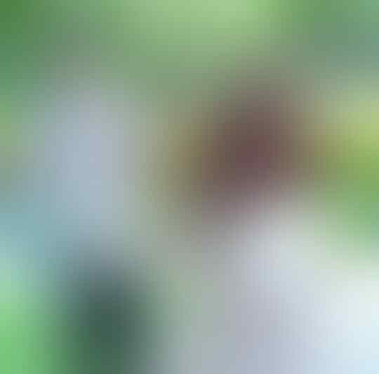 Iri Melihat Keluarga Lain Harmonis, Ini 5 Kunci Mewujudkan Keluarga Harmonis