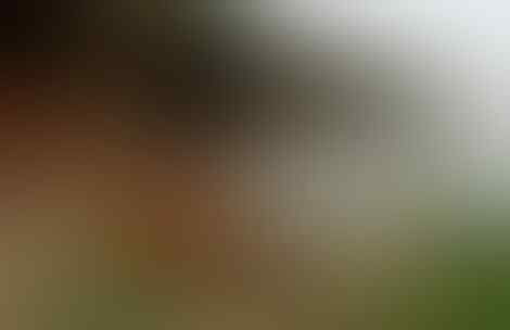 KUMPULAN CERPEN HOROR: SUARA DARI MAKAM TUA