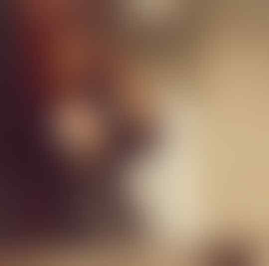 Yuk Intip Potret Renee Gracie, Pembalap Cantik Yang Alih Profesi Jadi Bintang Porno !