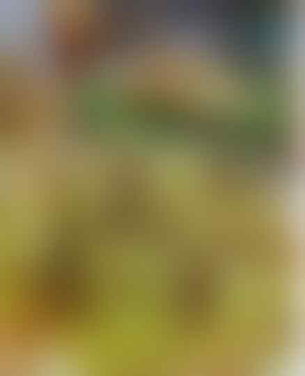 Makanan Khas Brebes Yang Bikin Kangen Pulang Kampung
