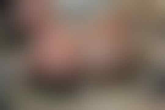 10 Hewan Paling Beracun di Dunia, Nomor 1 Pasti Tidak Nyangka