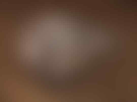 10 Hewan Paling Beracun di Dunia, Nomor 1 Pasti Tidak Nyangka