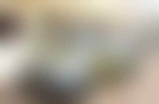 Mengenal Lebih Dekat 'Mereka', yang Menjadi Andalan Polisi Dalam Setiap Tugasnya