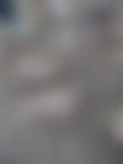 Misteri Pembunuhan Beberapa Hewan Di Tapanuli Utara, Kepoin Yuks!?