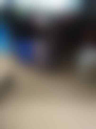 Misteri Pembunuhan Beberapa Hewan Di Tapanuli Utara, Kepoin Yuks!?