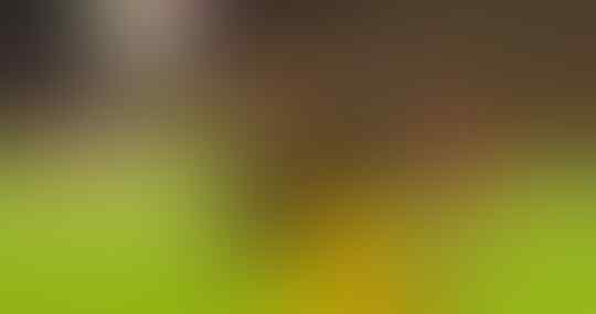 Prinsip Hemat Juergen Klopp di Liverpool