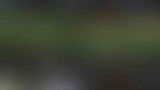 Manchester City Masih Bisa Raih Treble Musim Ini