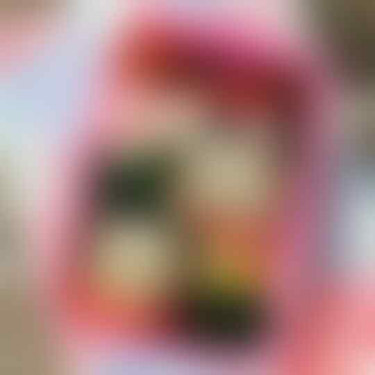 Terlalu Cantik, 9 Bentuk Bekal Makan Ini Bikin Mupeng