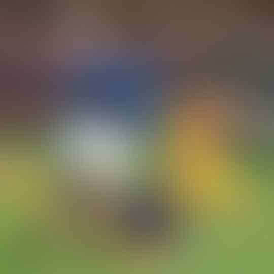 Sepakbola Dalam Sejarah Edisi 13 Juli. Piala Dunia 1930 hingga lahirnya 'Si Kurus'
