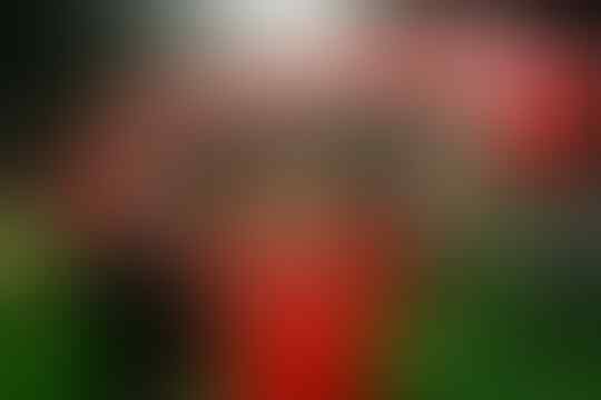 Sepakbola Dalam Sejarah Edisi 13 Juli. Piala Dunia 1930 hingga lahirnya 'Si Kurus'