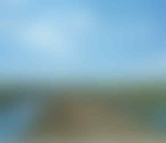 Hilang Secara Misterius! Pemuda Ini Ditemukan di Atas Pohon Aren! Benarkah Ulah Jin?