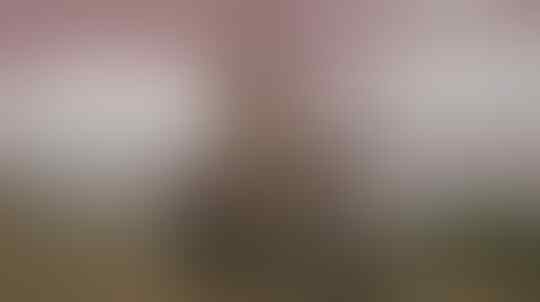 Deretan Potret Nyeleneh Ojol di Negara Afrika, Kostumnya Bikin Tepok Jidat