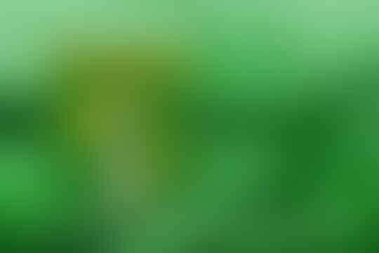 Persebaya dan Program "Triwani" Adalah Semangat Menyambut Liga Sepak Bola