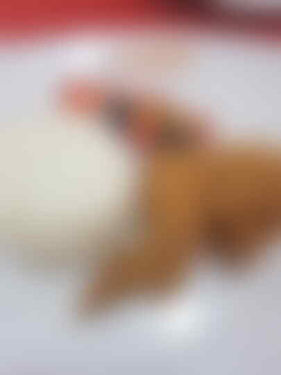 Rocket Chicken