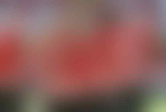 Sheffield United Perkasa Atas The Londoners !!!