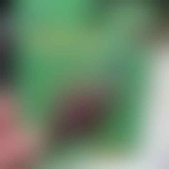 Deretan Mainan Anak Yang Unik Atau Sebaliknya? Kuy Intip?