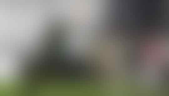 Sepak Bola Kembali Mewarnai Dunia Olahraga