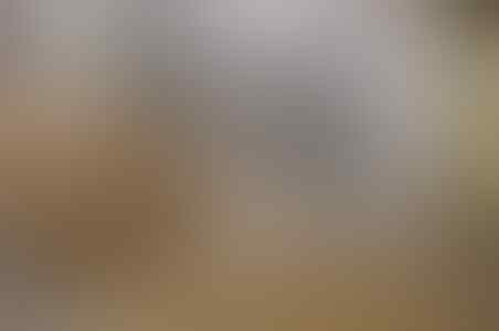 Empat Alasan Mengapa Sebaiknya Anjing Jantan Dikebiri