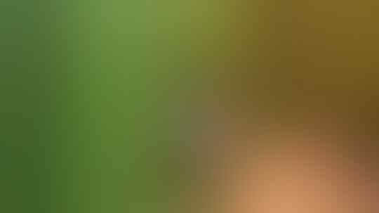 Malaysia Kecam Indonesia, Gara-Gara Upin Ipin Jadi Bahan Porno