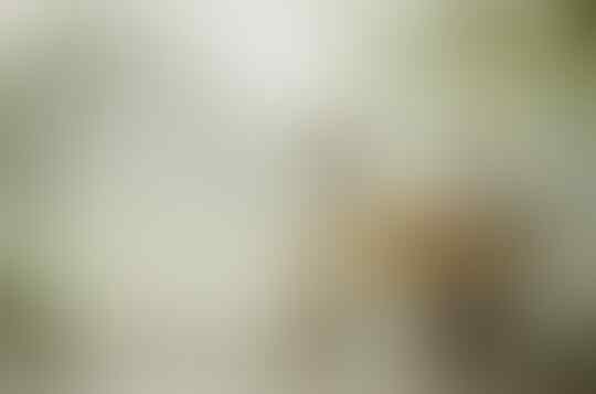 Ketika Cinta Hampir Berakhir Apa yang Sebaiknya Dilakukan?