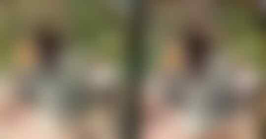 Foto Kuno 'PENAMPAKAN' Tentara Jerman Di WW1 Karya Hildenbrand Yang Luar Biasa !