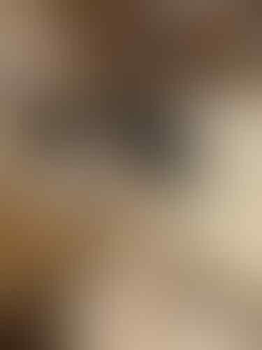 Vernita Syabilla Disorot setelah Polisi Amankan Artis VS Terkait Prostitusi