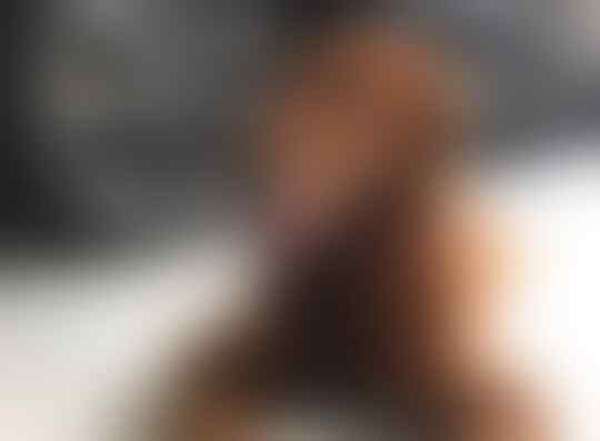 Perhatikan Hal Ini Sebelum Memutuskan Untuk Mengadopsi Anjing