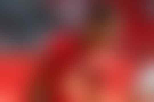 Orang-Orang Yang Menjadi Kunci Masuknya Manchester United Ke Liga Champions