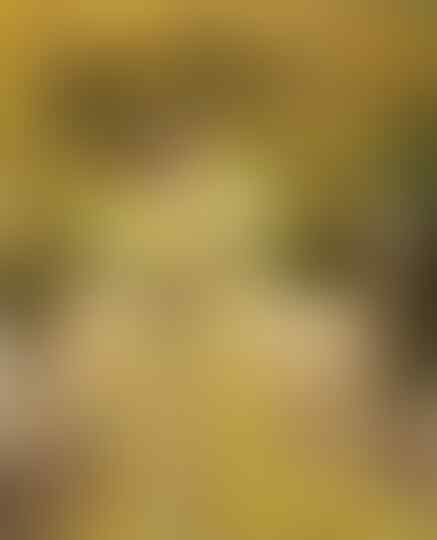 Deretan Gaun Pengantin Bak Putri Raja, Mana Pilihanmu?