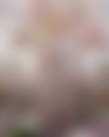 Deretan Gaun Pengantin Bak Putri Raja, Mana Pilihanmu?