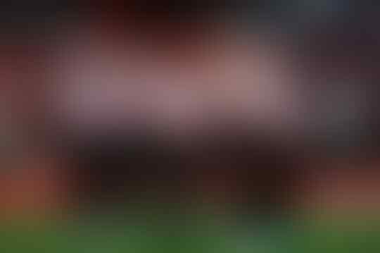 PREDIKSI BRENTFORD VS FULHAM