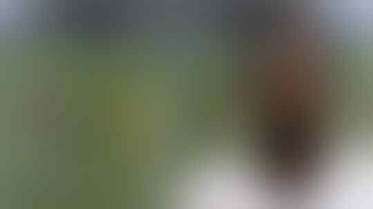 Wonderkid yang Jago di Football Manager, tapi Melempem Di Dunia Nyata