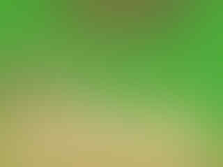 Ini Dia 5 Pelajaran Hidup Yang Bisa Diambil Dari Game Harvest Moon Back to Nature