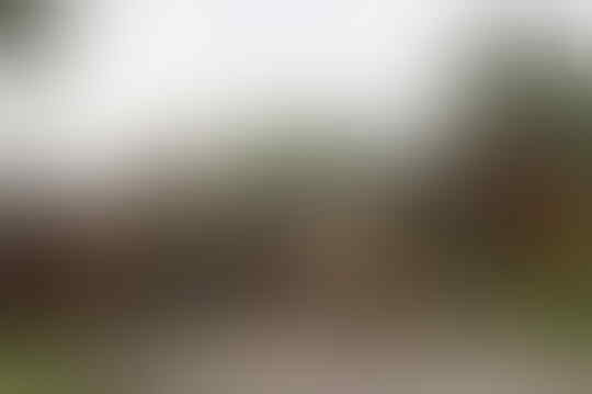 Gila! Warga 2 Kampung di Papua Izin Untuk Saling Berperang Selama 3 Hari Ke Polisi