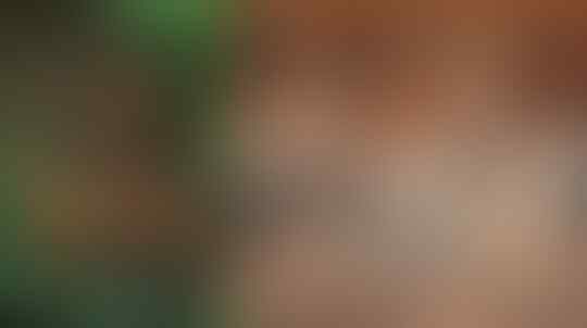 10 Film Indonesia Paling Berpengaruh, No. 4 Jadi Kontroversi Setiap Tahunnya