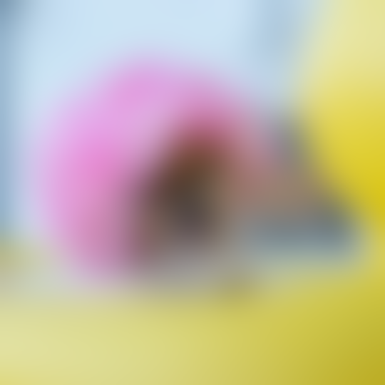 Gemes! 4 Hewan ini Populer Banget di Instagram